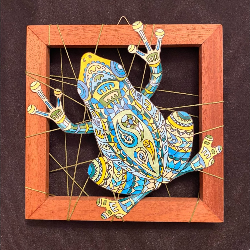 Handmade (By Me!) Frog Wall Art on Wooden Frame | Cord Represents Biodiversity